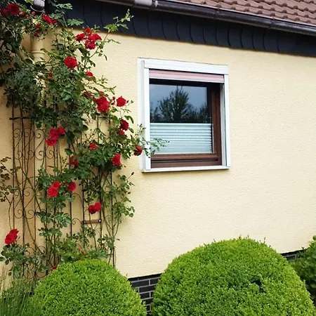 Ferienwohnung In Gartenlandschaft Kassel Buitenkant foto